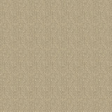 G P & J Baker TILLY CHARCOAL Wallpaper