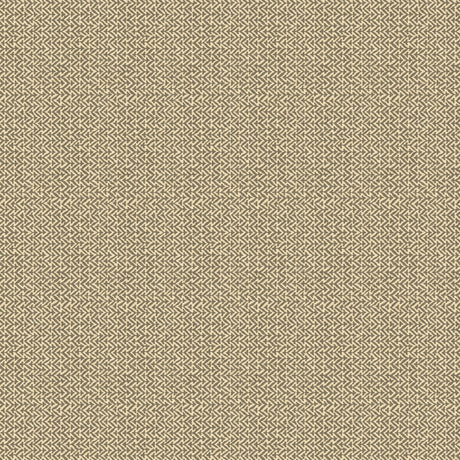 G P & J Baker TILLY CHARCOAL Wallpaper