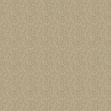 G P & J Baker TILLY CHARCOAL Wallpaper