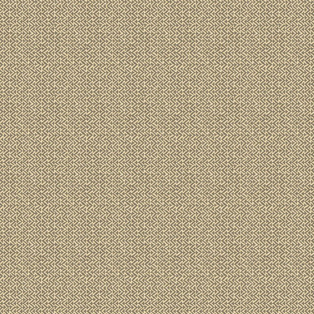 G P & J Baker TILLY CHARCOAL Wallpaper