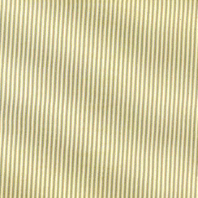 Clarke & Clarke BRETON OCHRE Upholstery Fabric