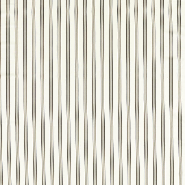 Clarke & Clarke EDISON CHARCOAL/NATURAL Upholstery Fabric