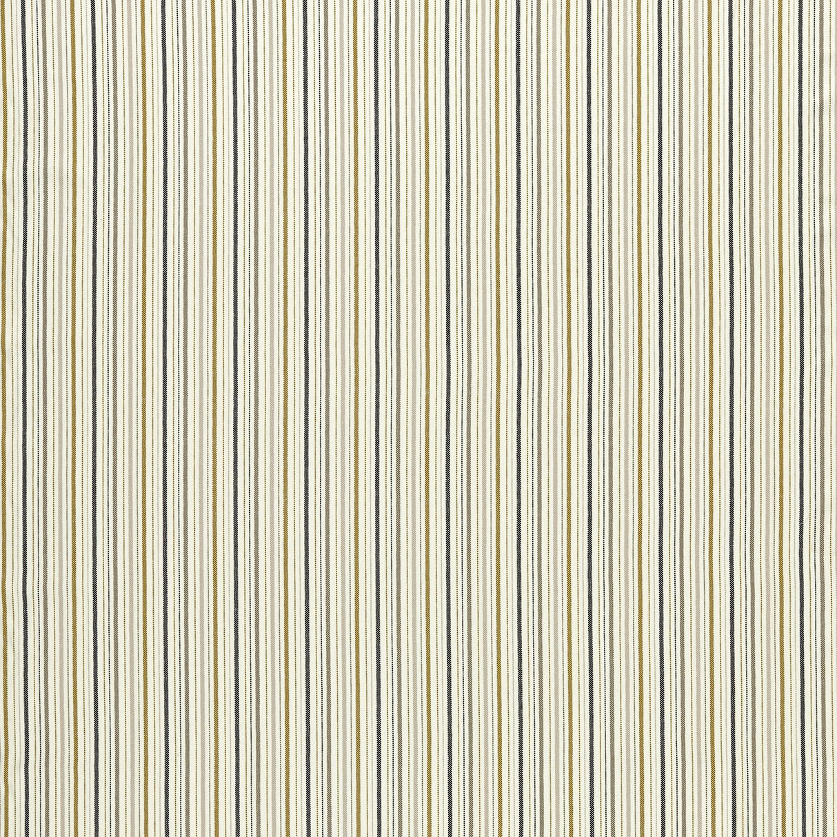 Clarke & Clarke MARYLAND OCHRE/CHARCOAL Upholstery Fabric