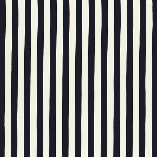 Clarke & Clarke PORTLAND EBONY Upholstery Fabric