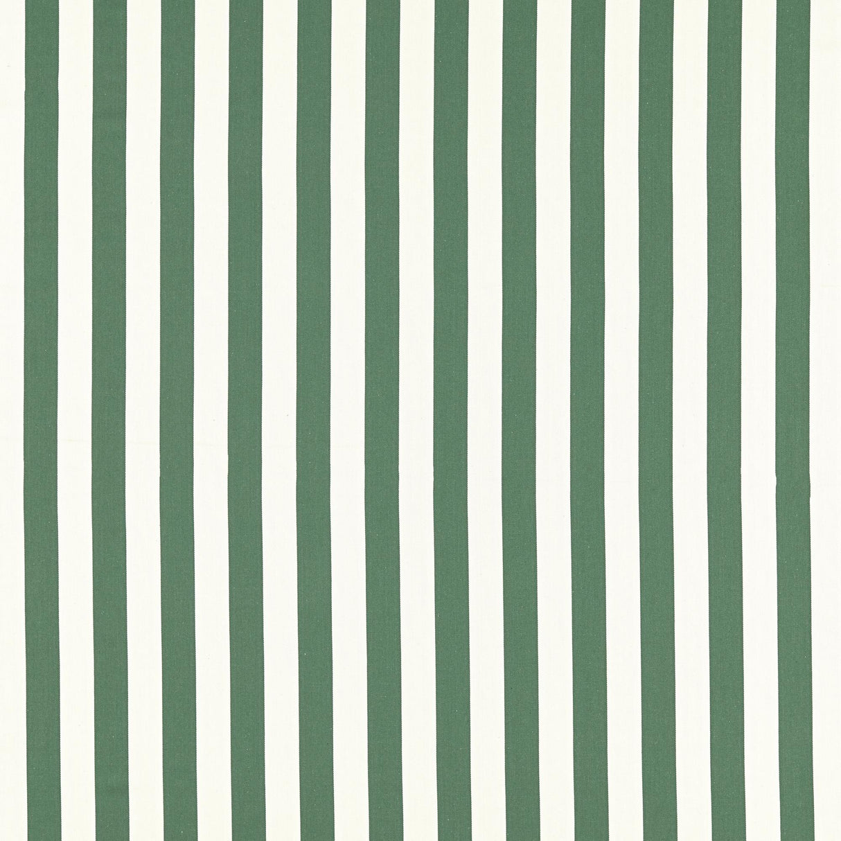 Clarke & Clarke PORTLAND RACING GREEN Upholstery Fabric