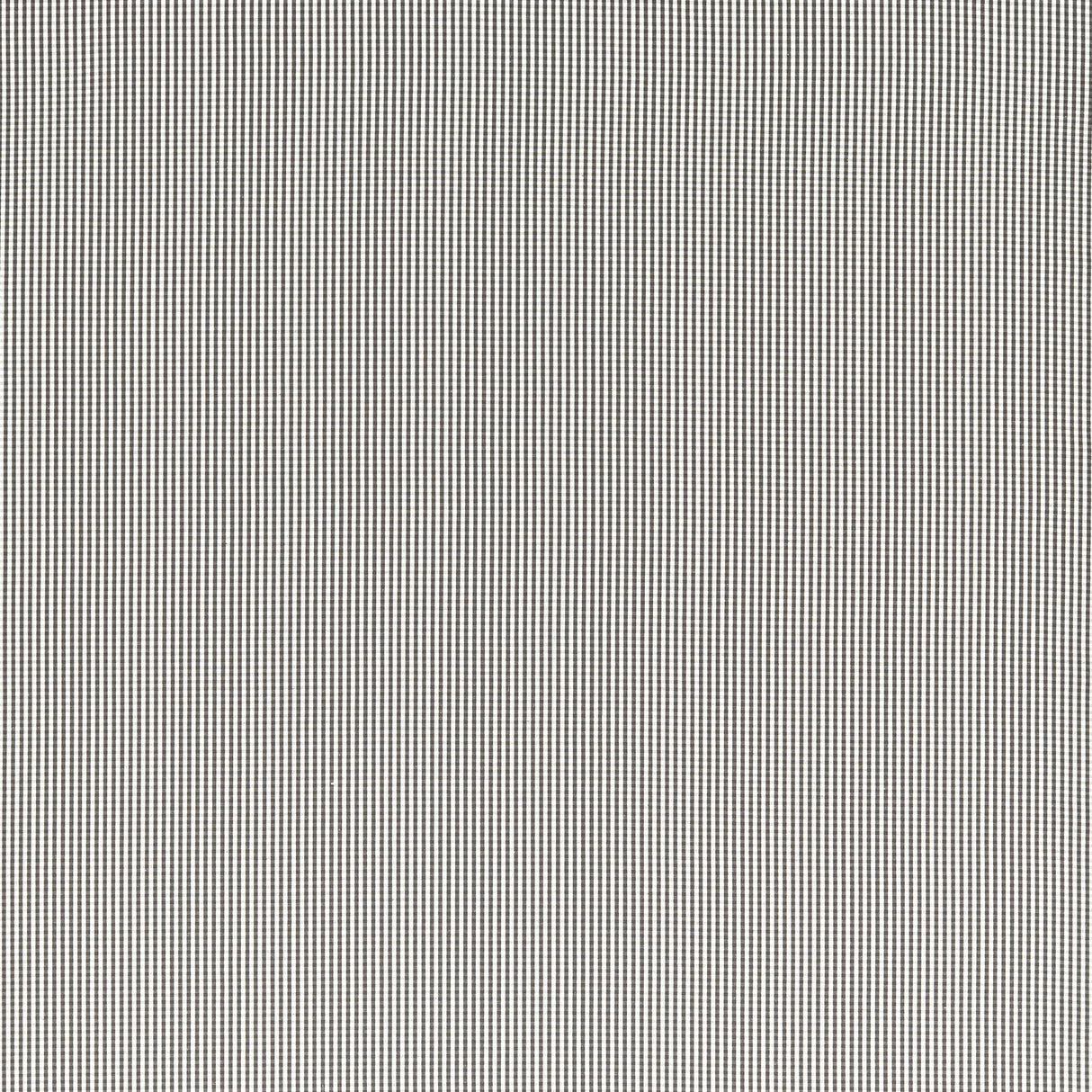 Clarke & Clarke WINDSOR CHARCOAL Upholstery Fabric