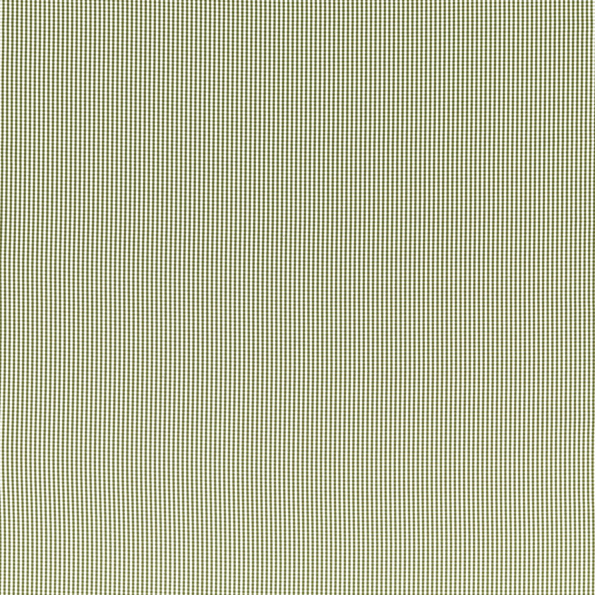 Clarke & Clarke WINDSOR SAGE Upholstery Fabric