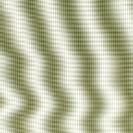 Clarke & Clarke WINDSOR SAGE Upholstery Fabric