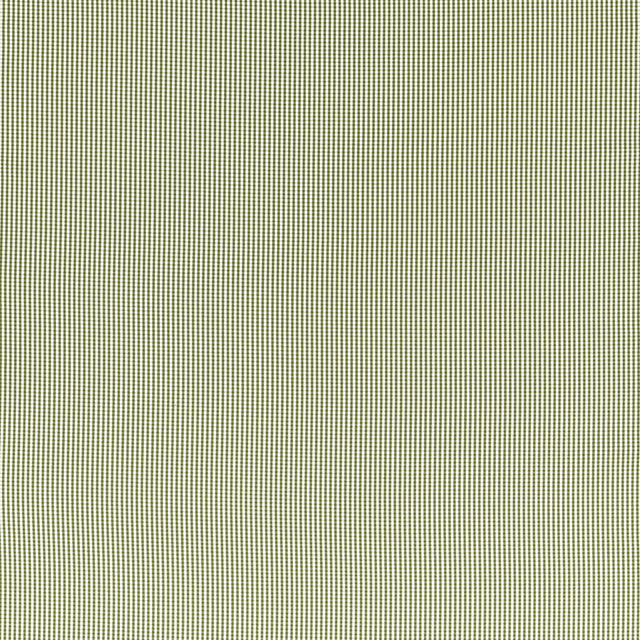 Clarke & Clarke WINDSOR SAGE Upholstery Fabric