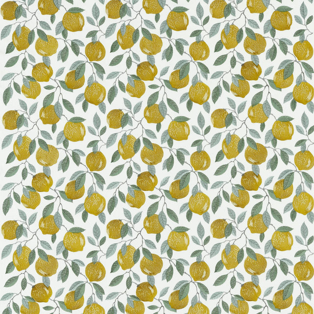Clarke & Clarke SICILIAN LEMON Drapery Fabric