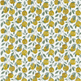 Clarke & Clarke SICILIAN LEMON Drapery Fabric