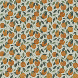 Clarke & Clarke SICILIAN ORANGE Drapery Fabric