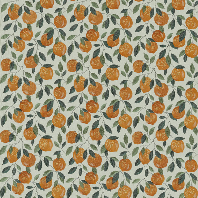 Clarke & Clarke SICILIAN ORANGE Drapery Fabric