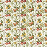 Clarke & Clarke SORENTO AUTUMN Fabric
