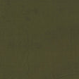 Clarke & Clarke MIAMI CHIVE Drapery Fabric