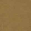 Clarke & Clarke MIAMI GOLD Drapery Fabric