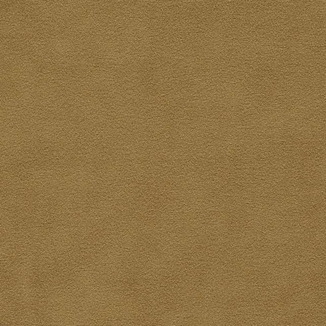 Clarke & Clarke MIAMI GOLD Drapery Fabric