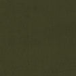 Clarke & Clarke MIAMI HERB Drapery Fabric