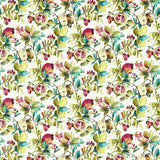 Clarke & Clarke FRUTA SUMMER COTTON Fabric