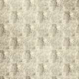 Clarke & Clarke IMPRESSION NATURAL Upholstery Fabric