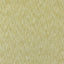 Clarke & Clarke AVANI CHARTREUSE Upholstery Fabric