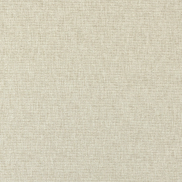 Clarke & Clarke AVANI LINEN Upholstery Fabric