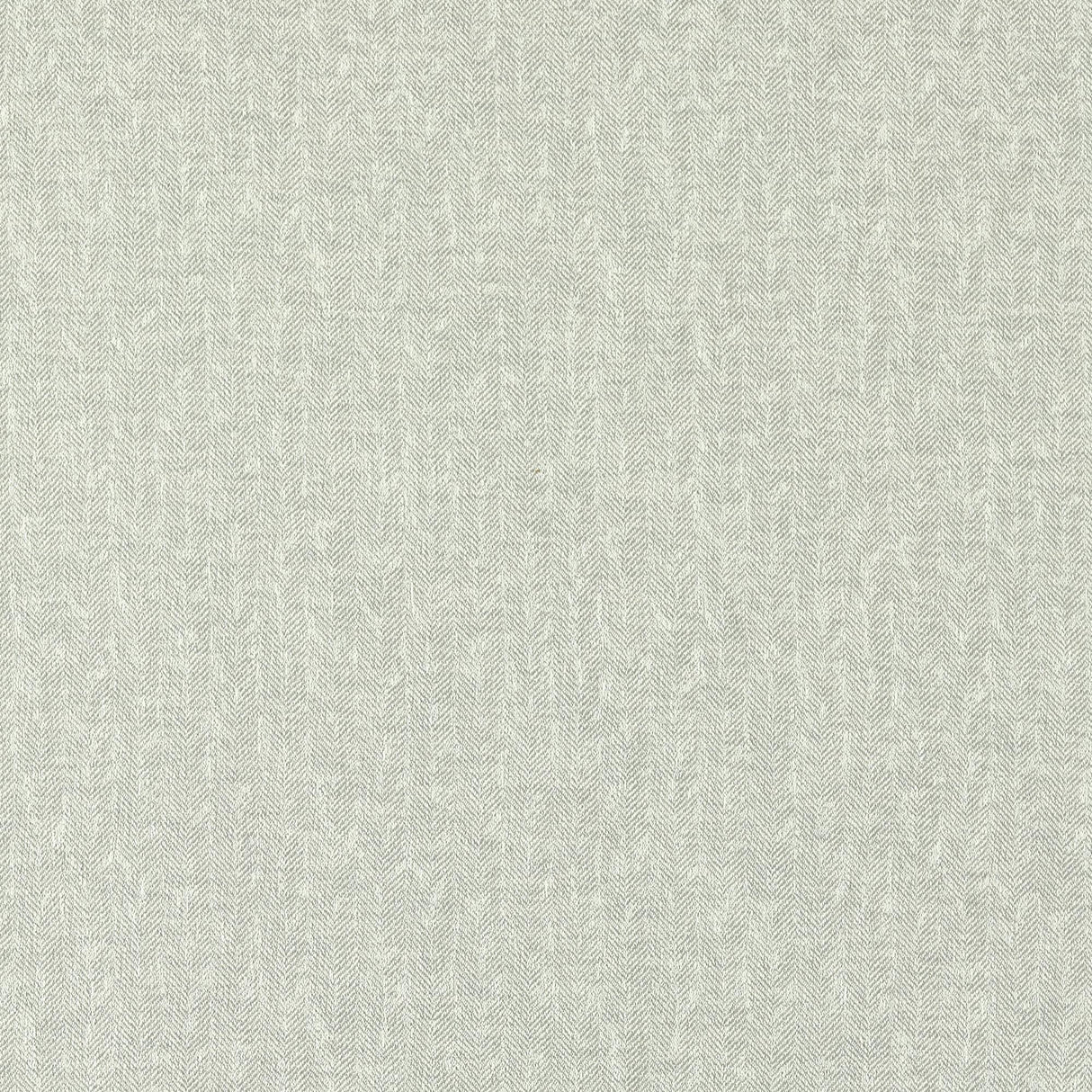Clarke & Clarke TIERRA SILVER Upholstery Fabric