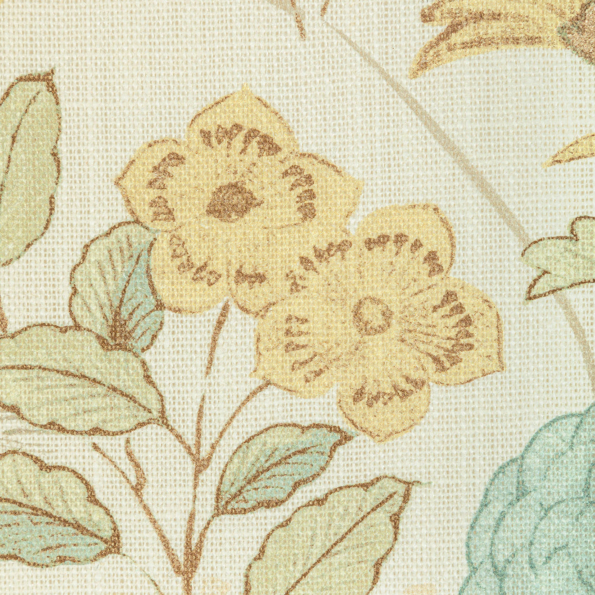 Kravet FIORELLA LEEK Fabric