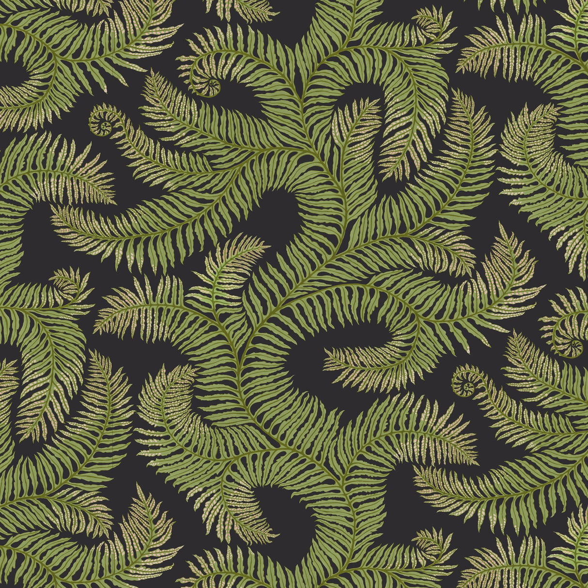 Kravet BOMBES FERNERY 01 Wallpaper