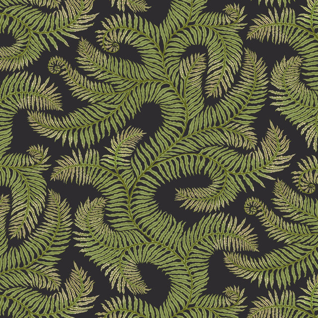 Kravet BOMBES FERNERY 01 Wallpaper