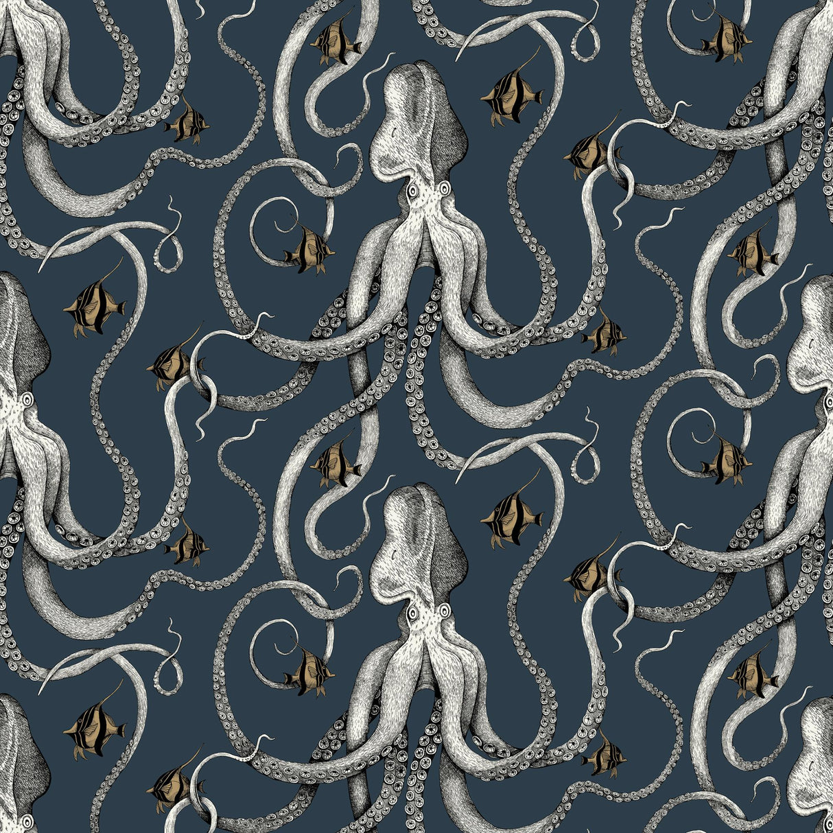Kravet OCTOPODA 01 Wallpaper