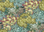 Kravet BROCCOLI CANOPY 01 Wallpaper