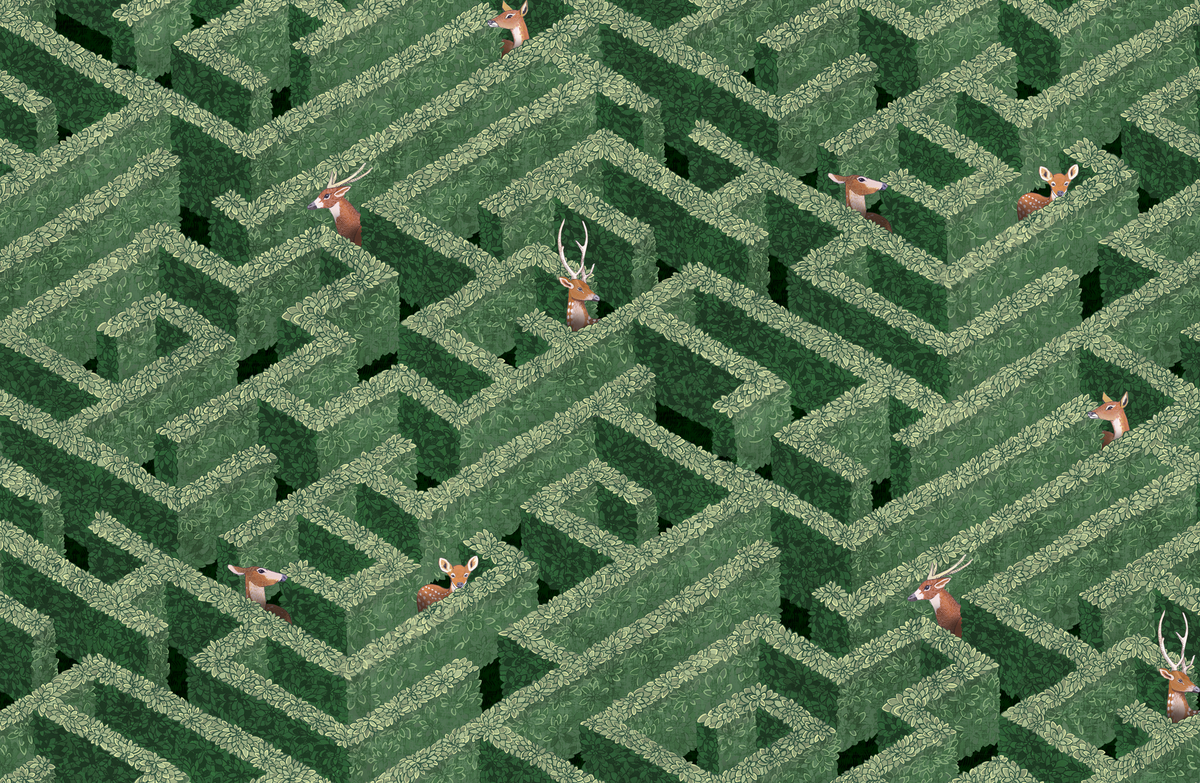 Kravet LABYRINTH WITH DEER 01 Wallpaper