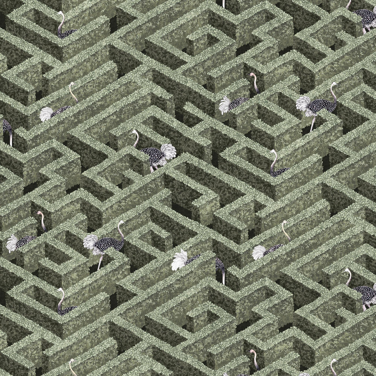 Kravet LABYRINTH WITH OSTRICHES 01 Wallpaper