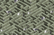 Kravet LABYRINTH WITH OSTRICHES 01 Wallpaper
