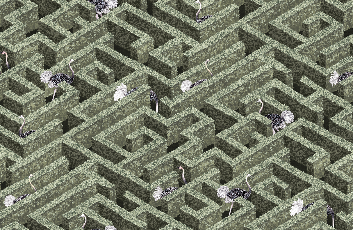 Kravet LABYRINTH WITH OSTRICHES 01 Wallpaper