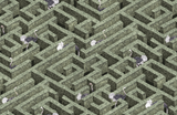 Kravet LABYRINTH WITH OSTRICHES 01 Wallpaper