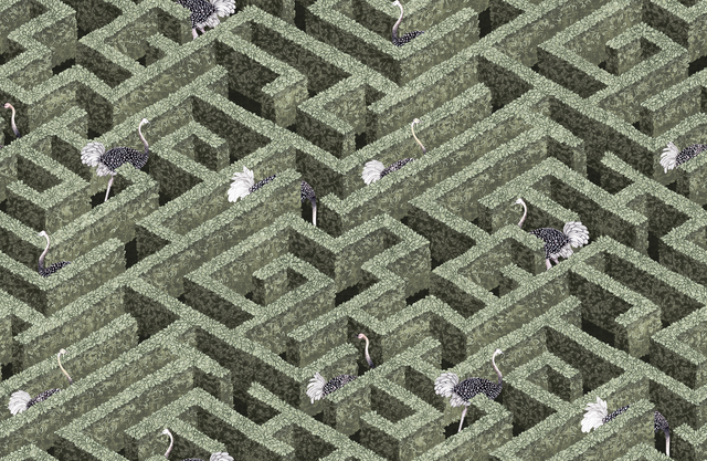 Kravet LABYRINTH WITH OSTRICHES 01 Wallpaper