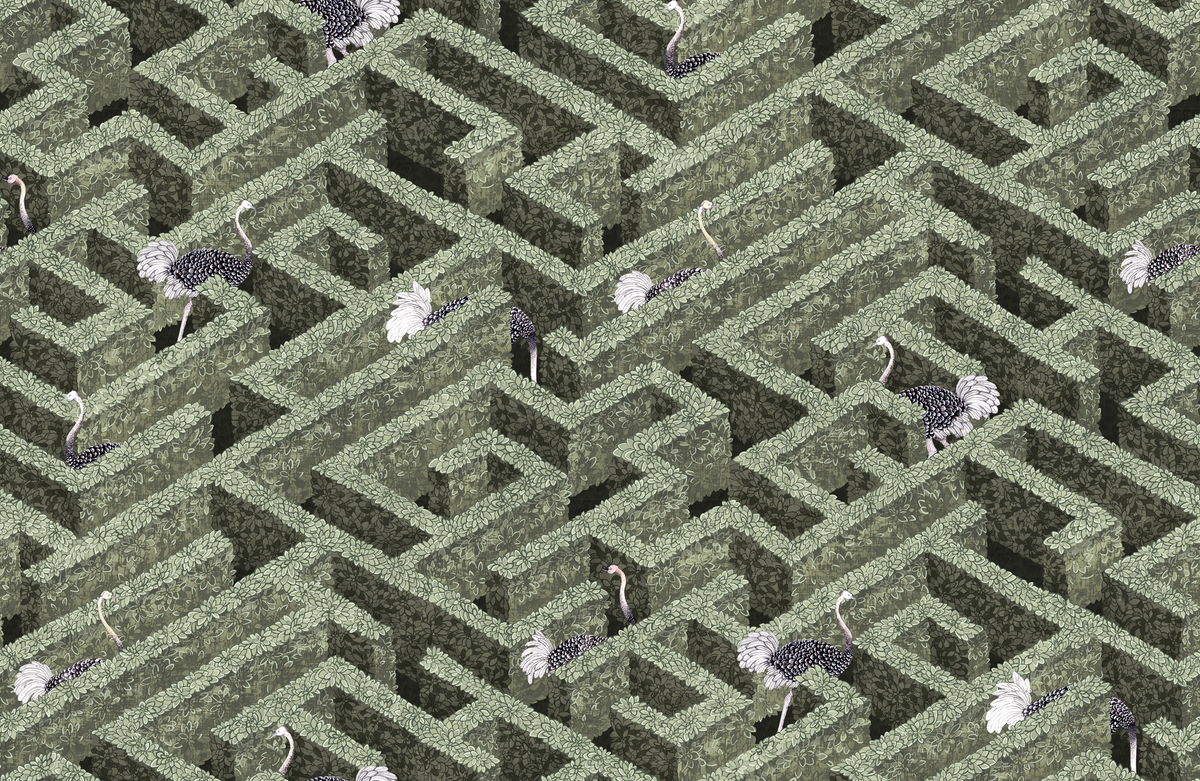 Kravet LABYRINTH WITH OSTRICHES 01 Wallpaper