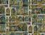 Kravet PEACOCK ARCHES 21 Wallpaper