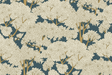 Kravet STOCKEND WOODS 01 Wallpaper
