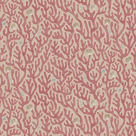 Kravet CORAL 01 Wallpaper