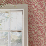 Kravet CORAL 01 Wallpaper