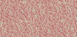 Kravet CORAL 01 Wallpaper