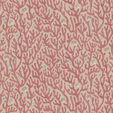 Kravet CORAL 01 Wallpaper
