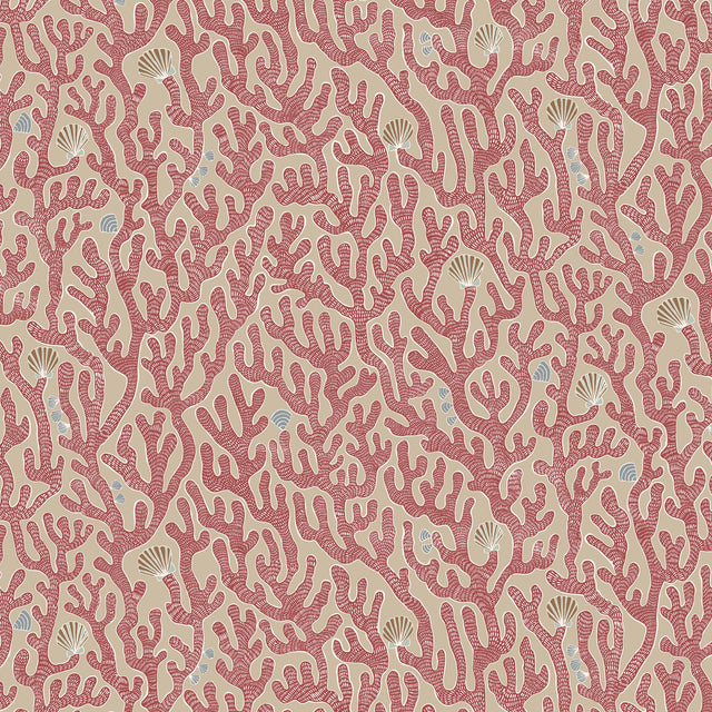Kravet CORAL 01 Wallpaper