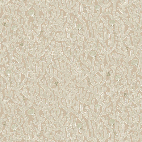 Kravet CORAL 11 Wallpaper