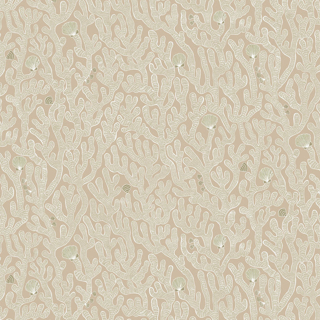 Kravet CORAL 11 Wallpaper