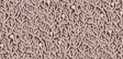 Kravet CORAL 21 Wallpaper