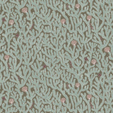 Kravet CORAL 31 Wallpaper